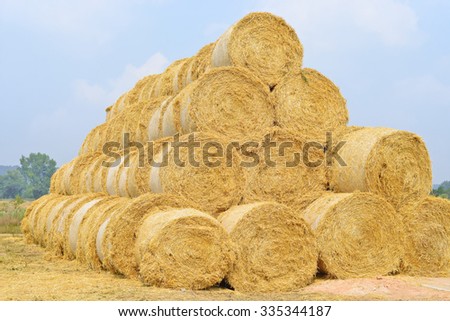 Bales of straw on the ground storage