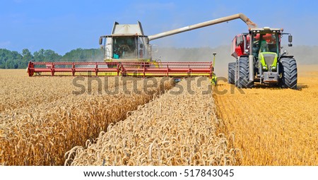 Overloading grain harvester into the grain tank of the tractor trailer.