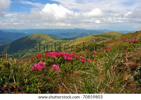Spring in mountains
