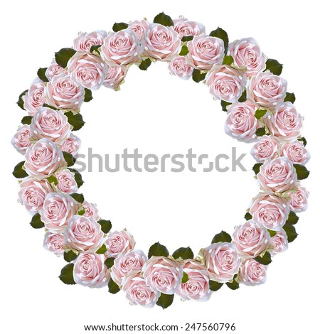 Circle of pink roses