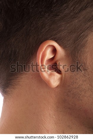 Perfect human ear