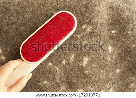 Woman cleaning pet hair with lint remover