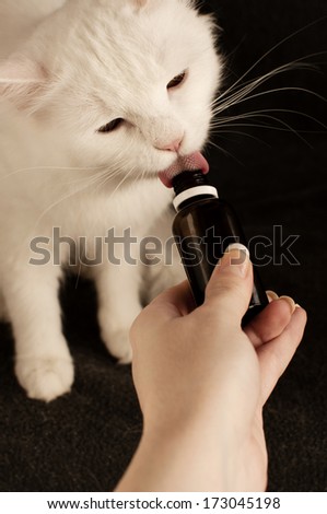 Cat taking medicine