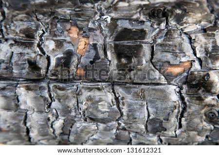 charred wood background with black ash