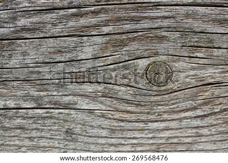 wood slab background