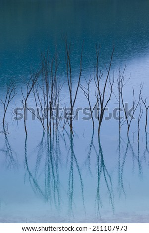 blue water with trees reflection in it on a rainy day