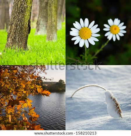 Four season. All used photos belong to me.