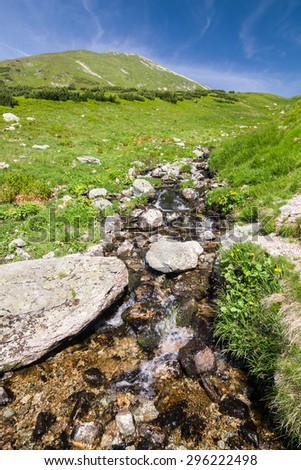 Creek in the amazing green mountain valley under peak and blue sky - West Tatras, Slovakia, Europe