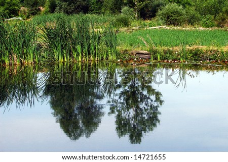 lake landscape with trees reflection