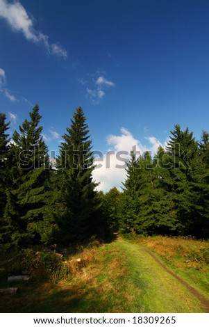 Meadow, forest and blue sky - romantic summer countryside