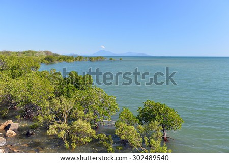 Port Douglas, the Great Barrier Reef,, Queensland, Australia -5