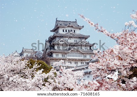 Himeji Castle with spring cherry blossoms at Kansai, Japan-2