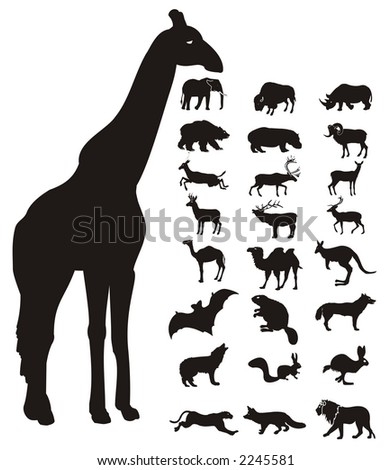 silhouettes of animals. stock photo : wild animals
