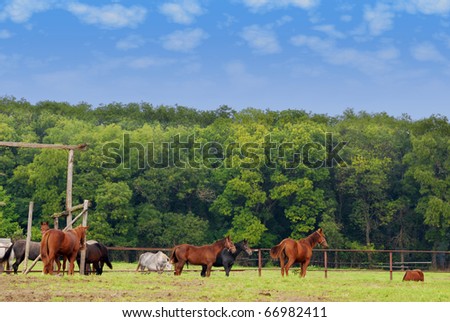 farm scene with horses