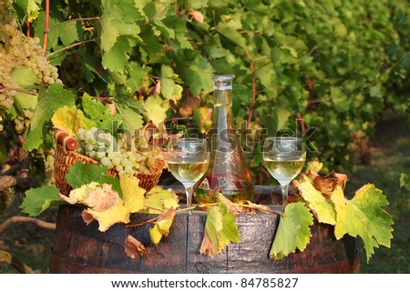 white wine autumn scene