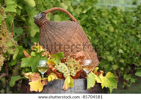 white wine and grape vineyard
