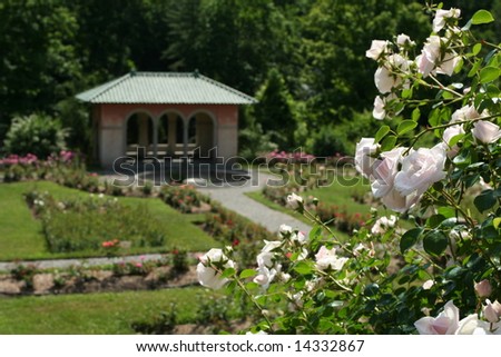 Rose Garden at the Vanderbilt Mansion in Hyde Park, NY
