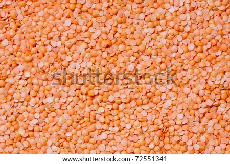 Full frame view of red lentils.