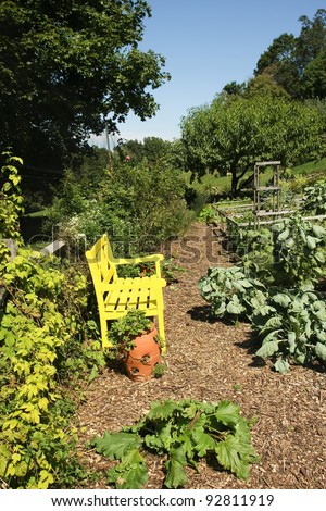 A yellow bench in a vegetable garden.