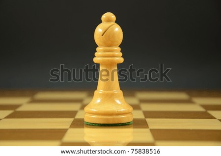 Chessboard Bishop