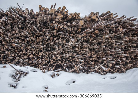 Wood storage. Finland