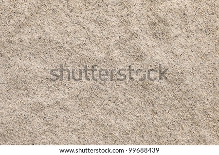Ground White Pepper texture, full frame background. Used as a spice in cuisines all over the world.