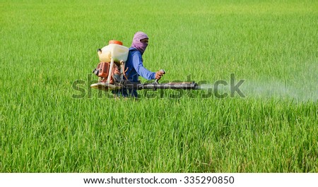 REMBAU, NEGERI SEMBILAN, MALAYSIA JULY 21, 2015:Farmers are spraying herbicides in paddy fields, on July 21,2015 in Rembau, Negeri Sembilan, Malaysia. Rembau is a district in Negeri Sembilan.