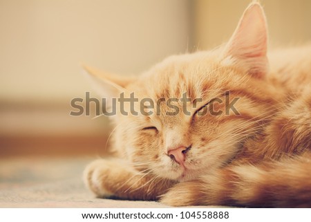 Man Curled Up