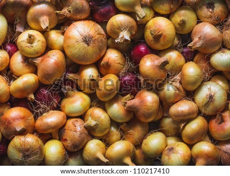 Yellow onions crop background