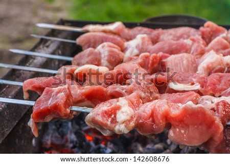 Juicy slices of meat with sauce prepare on fire (shish kebab). / Shish kebab in process of cooking on open fire outdoors