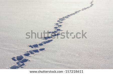 Human Footprints In Deep Snow On Sunny Day