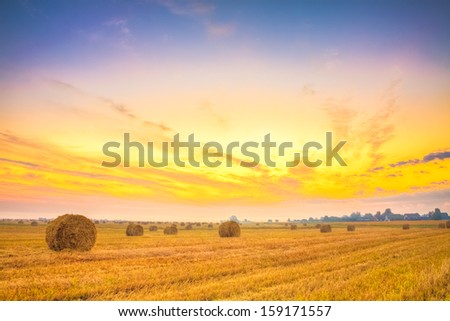 Harvest concept . Sunrise field, hay bale in Belarus. Sunset, HDR