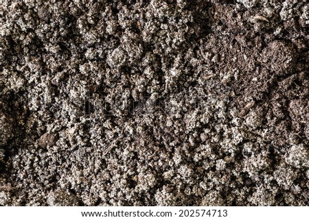 Soil dirt background texture, natural pattern