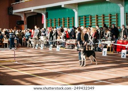 GOMEL, BELARUS - FEBRUARY 1, 2015: People and dogs visit Palace athletics exhibition  -International dog show, important event dedicated to dogs and their owners.
