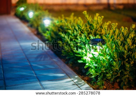 Small Solar Garden Light, Lanterns In Flower Bed. Garden Design. Solar Powered Lamp