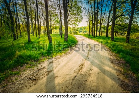 Beautiful Green Forest In Summer. Countryside Road, Path, Way, Lane, Pathway On Sunny Day In Spring Forest. Sunbeams Pour Through Trees. Russian Nature