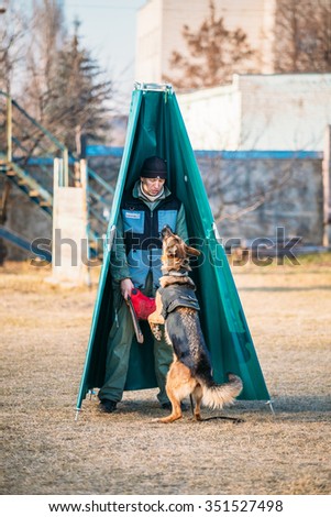 GOMEL, BELARUS - NOVEMBER, 22, 2014: German shepherd dog training in Gomel Regional sports club and decorative dog-breeding