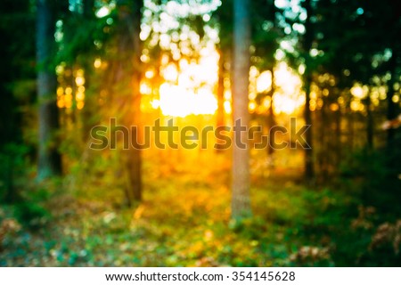 Abstract Autumn Summer Natural Blurred Forest Background. Bokeh, Bokeh Woods With Sunlight Green and Yellow Colors of Nature.