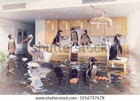 ocean birds in the flooding kitchen interior. Creative media mixes concept.