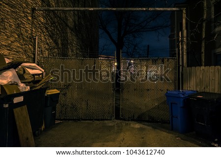An old city side street gate with dumpsters and a dramatic tree at night