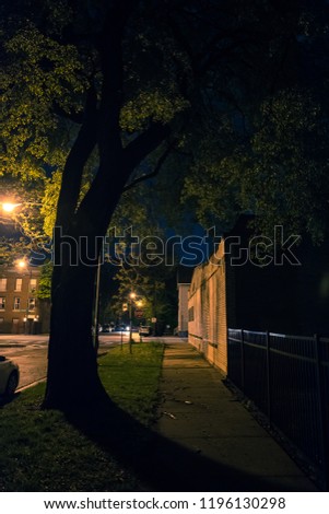 Dark city street sidewalk with tree at night