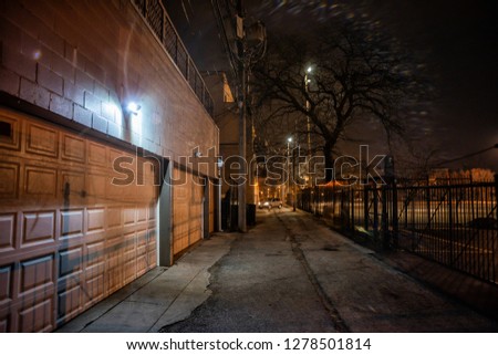 Dark city alley with car garage doors and a scary tree at night in Chicago
