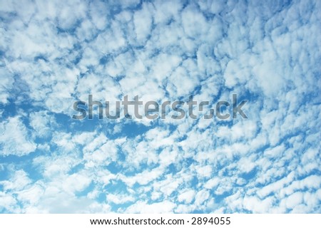 blue sky back ground white cloud