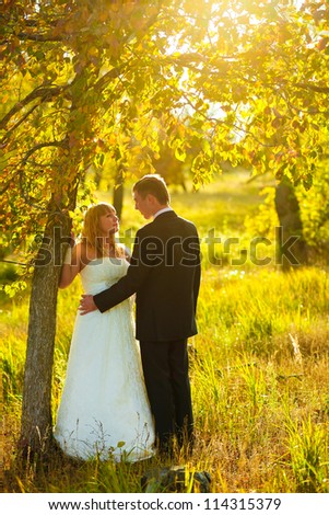 couple bride and groom stand in autumn forest near the tree at sunset backlit sun shines