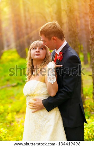 sunlight Bride and groom standing in a pine forest in autumn, the newlyweds a wedding, a man looks at a woman