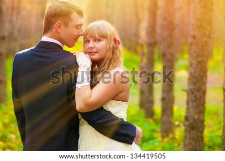 sunlight Bride and groom standing in a pine forest in autumn, newlyweds a wedding, a man looks at a woman