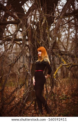 red-haired woman in a black dress in a dry dark forest, dry branches on the street