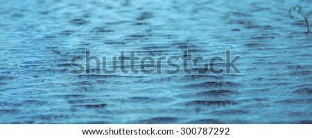 background for your site, the water rippling in the wind small waves texture lake