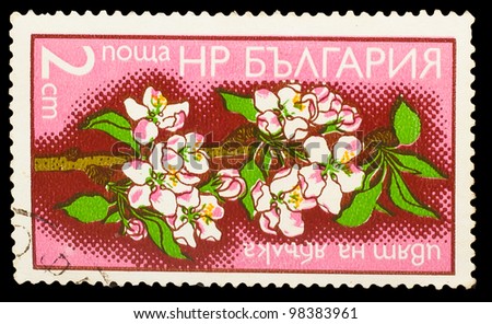 BULGARIA - CIRCA 1975: A Stamp BULGARIA, shows image branch of blossoming apple tree, series \