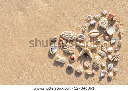 Heart on sand. Coral parts, stones and shells arranged into a heart shape.